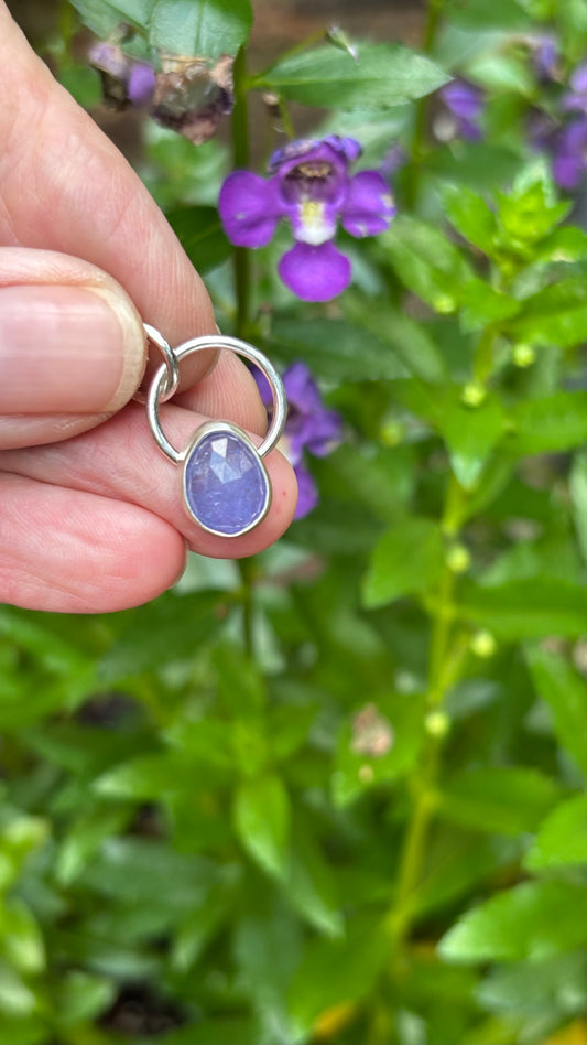 Charm- Tanzanite